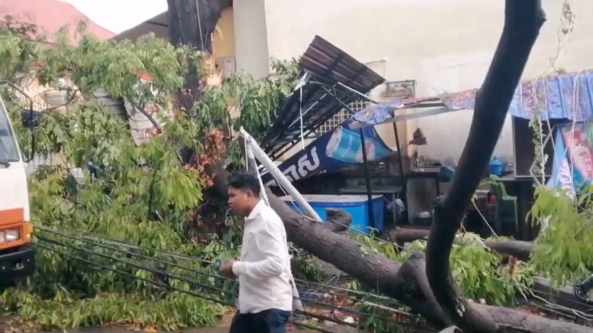 磅清扬市遭遇强风暴雨袭击 多处树木倒塌及门楼损毁