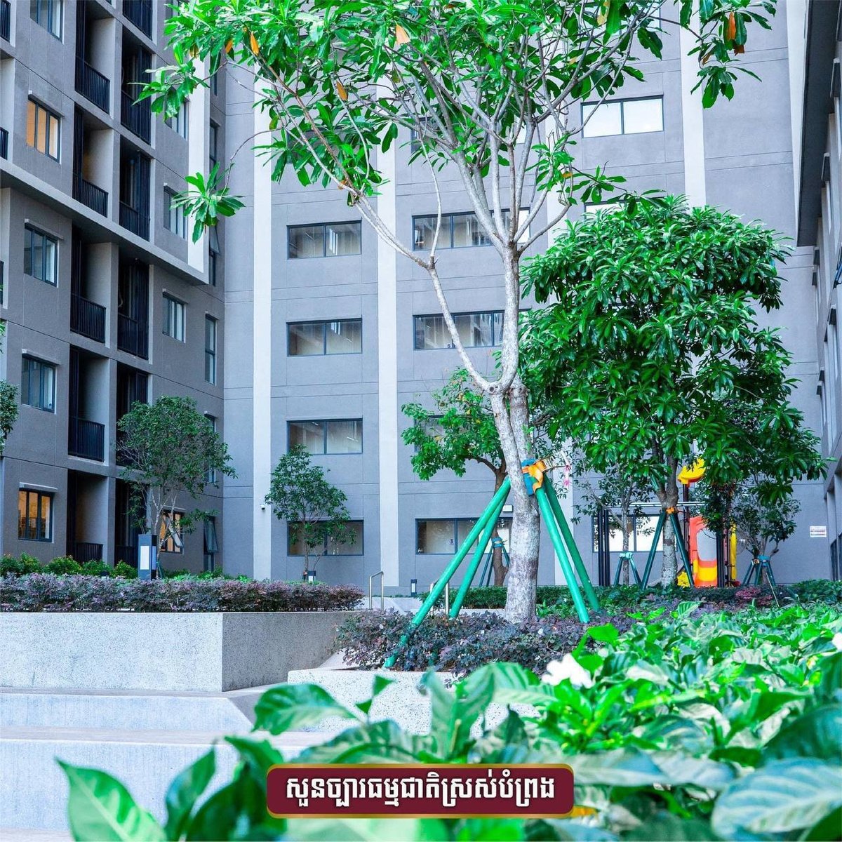 堆谷区Parkland TK两房公寓招租 月租$550含物业
