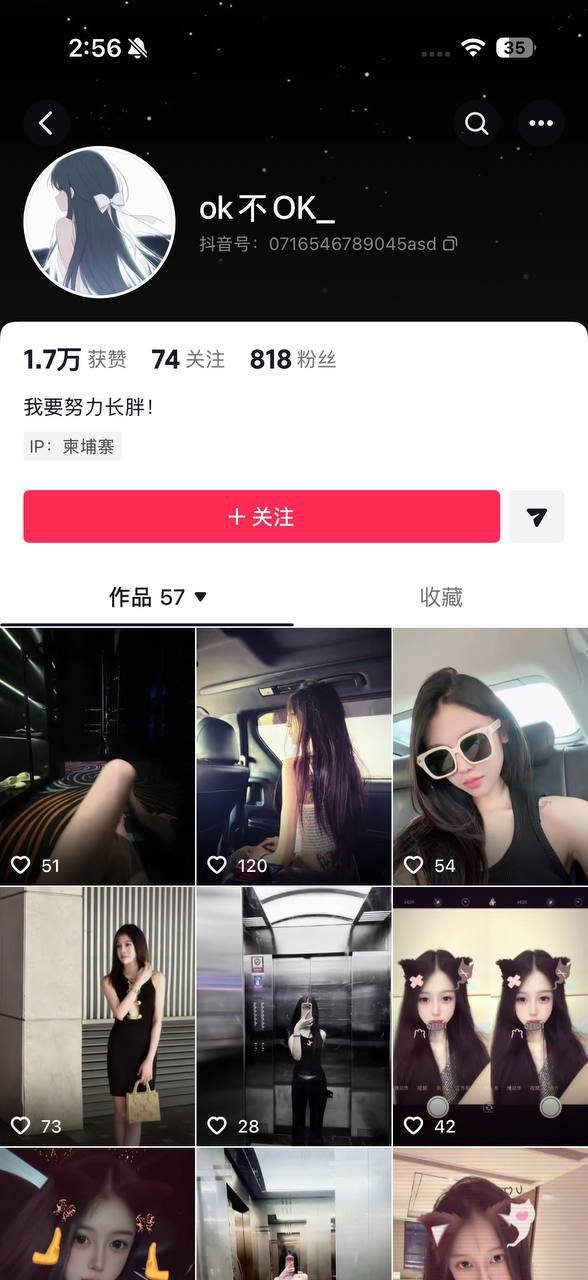 西港社会治安事件:女子涉嫌欺诈、绑架及多重纠纷