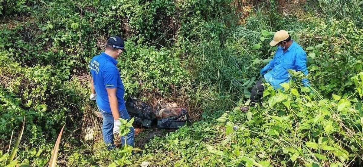 柬埔寨菩萨省发现行李箱藏尸案,警方介入调查