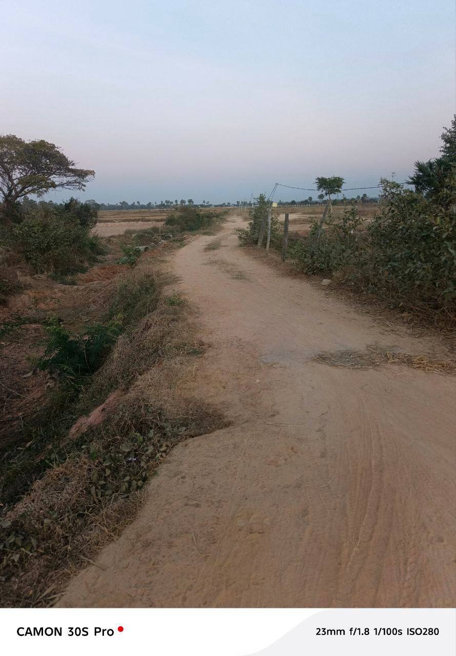 三号路37公里处土地出售