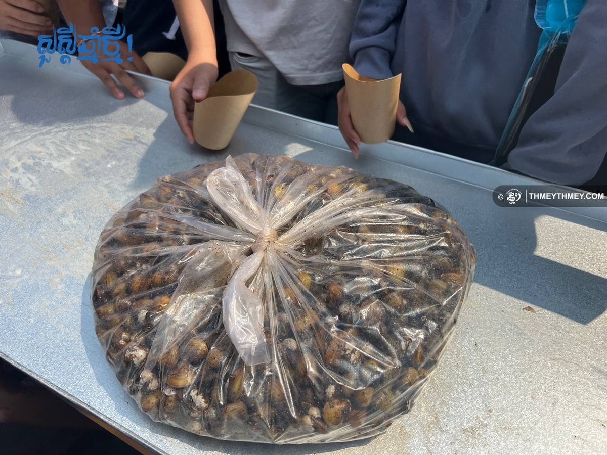 磅湛省宋干节:5吨晒蛤蜊免费供应活动
