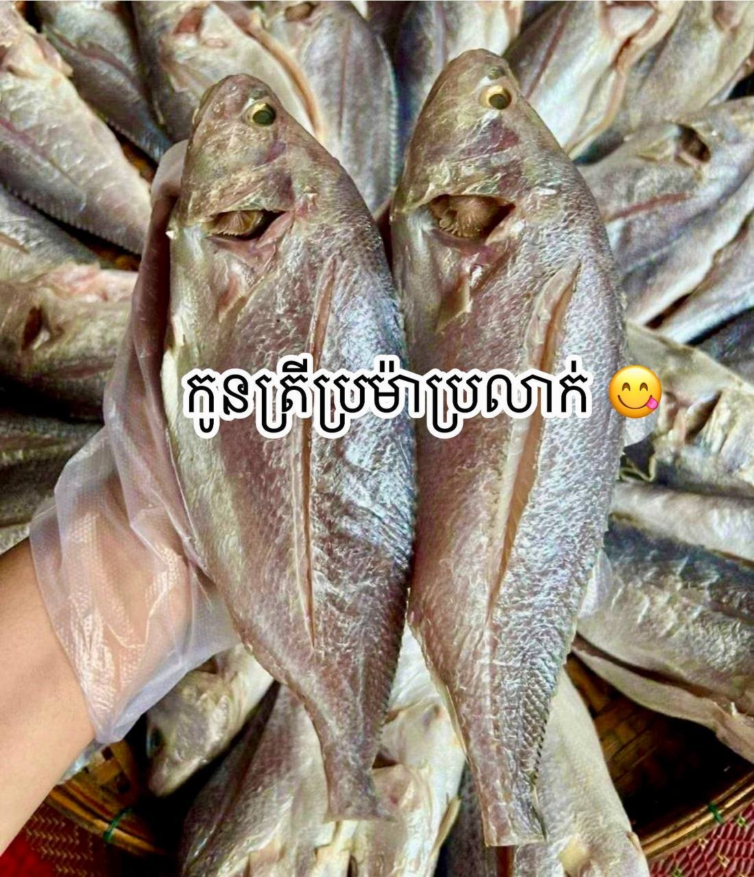 特色腌制鱼类及各类美食预订