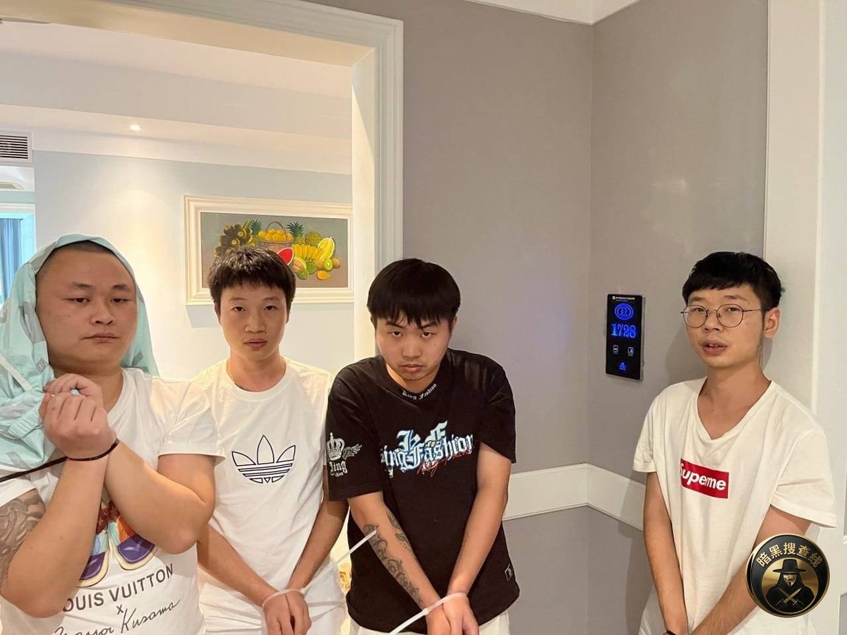 金边警方开展打击网络诈骗专项行动,逮捕百余人