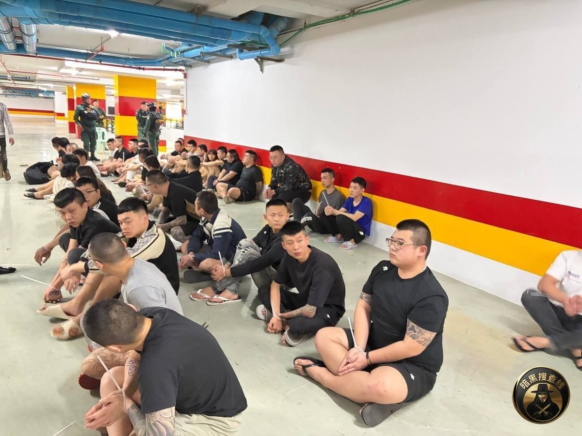 金边警方开展打击网络诈骗专项行动,逮捕百余人