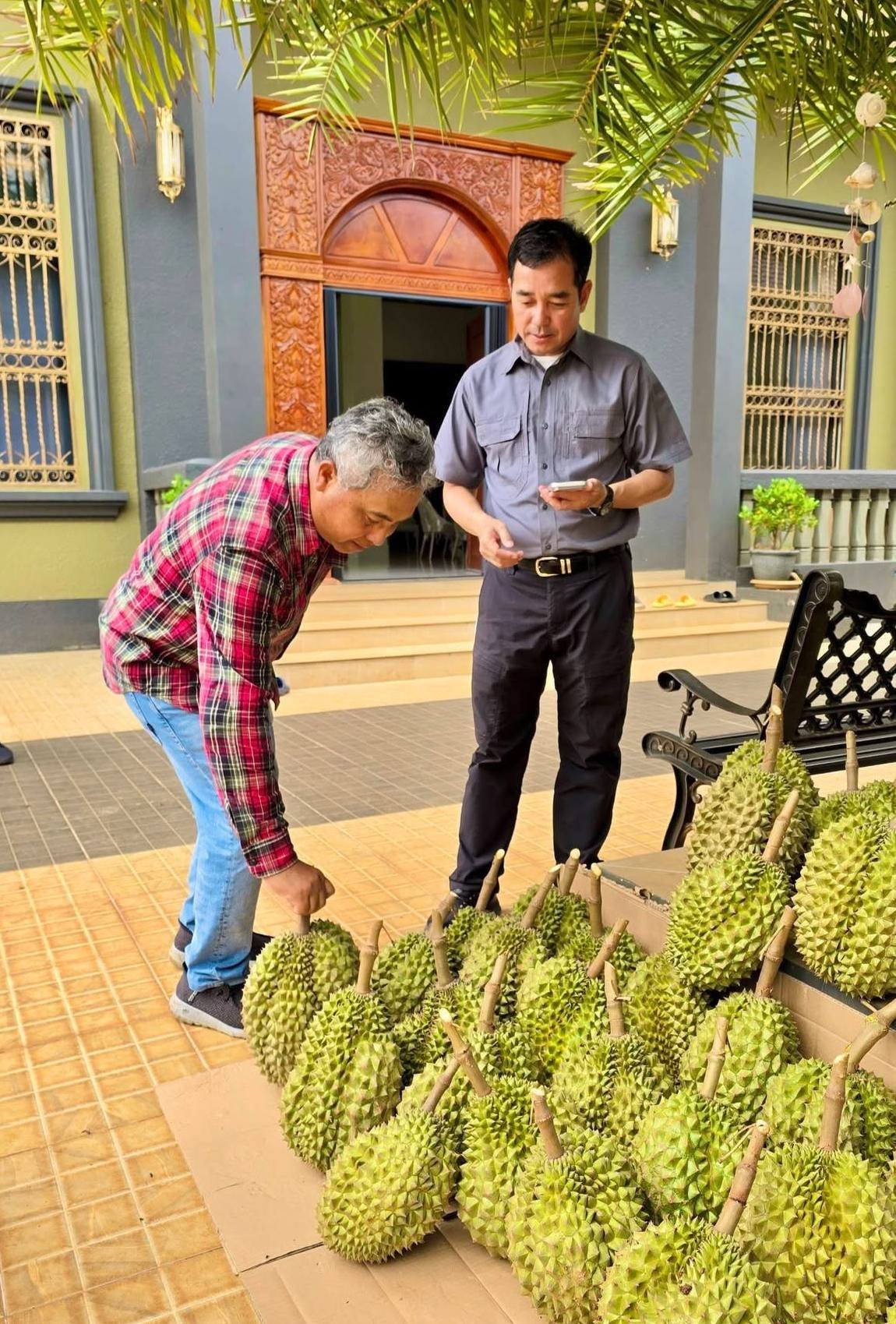 磅湛省斯登特朗县榴莲将推溯源标签 严打假冒提升品牌价值