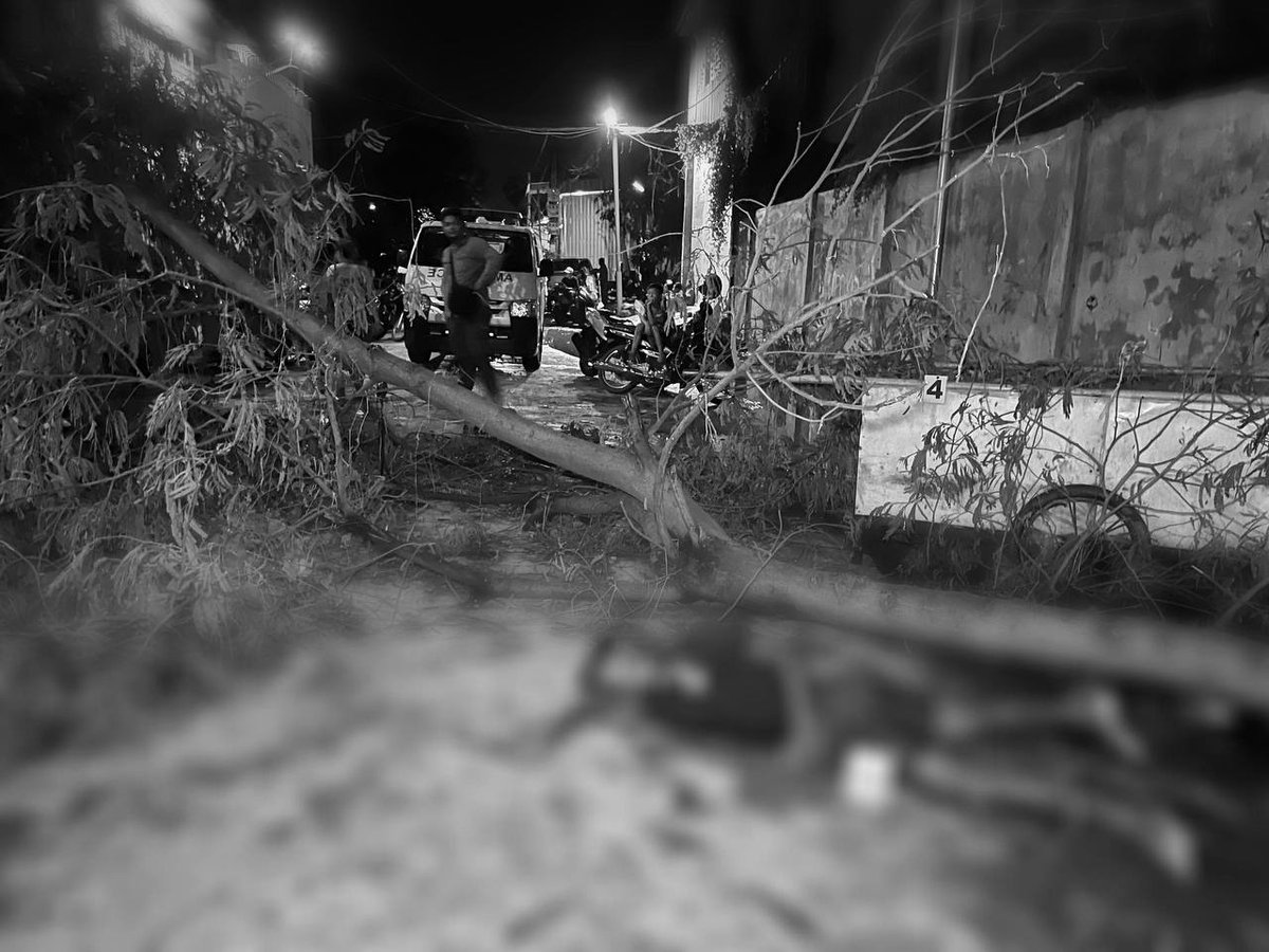 铁桥头区突发强风暴雨 树木倒塌致一名男子不幸身亡