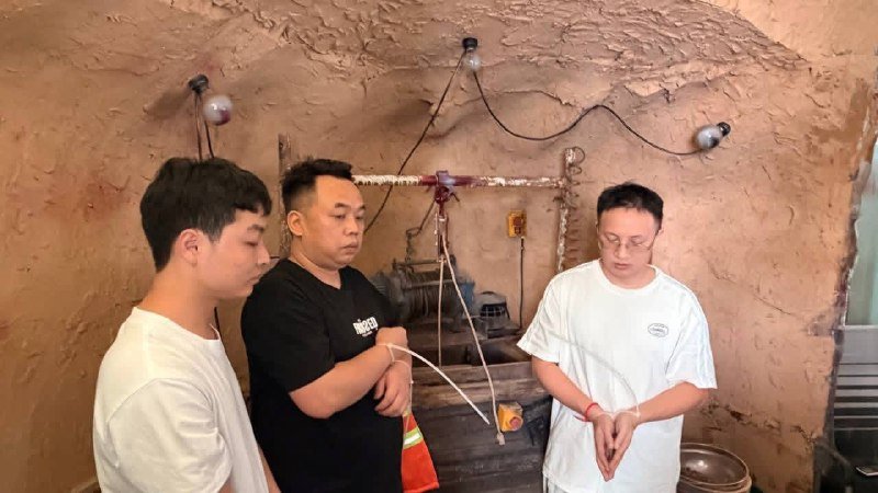 金边BKK1区PROVANCE公寓突查 破获电诈及人口贩运案