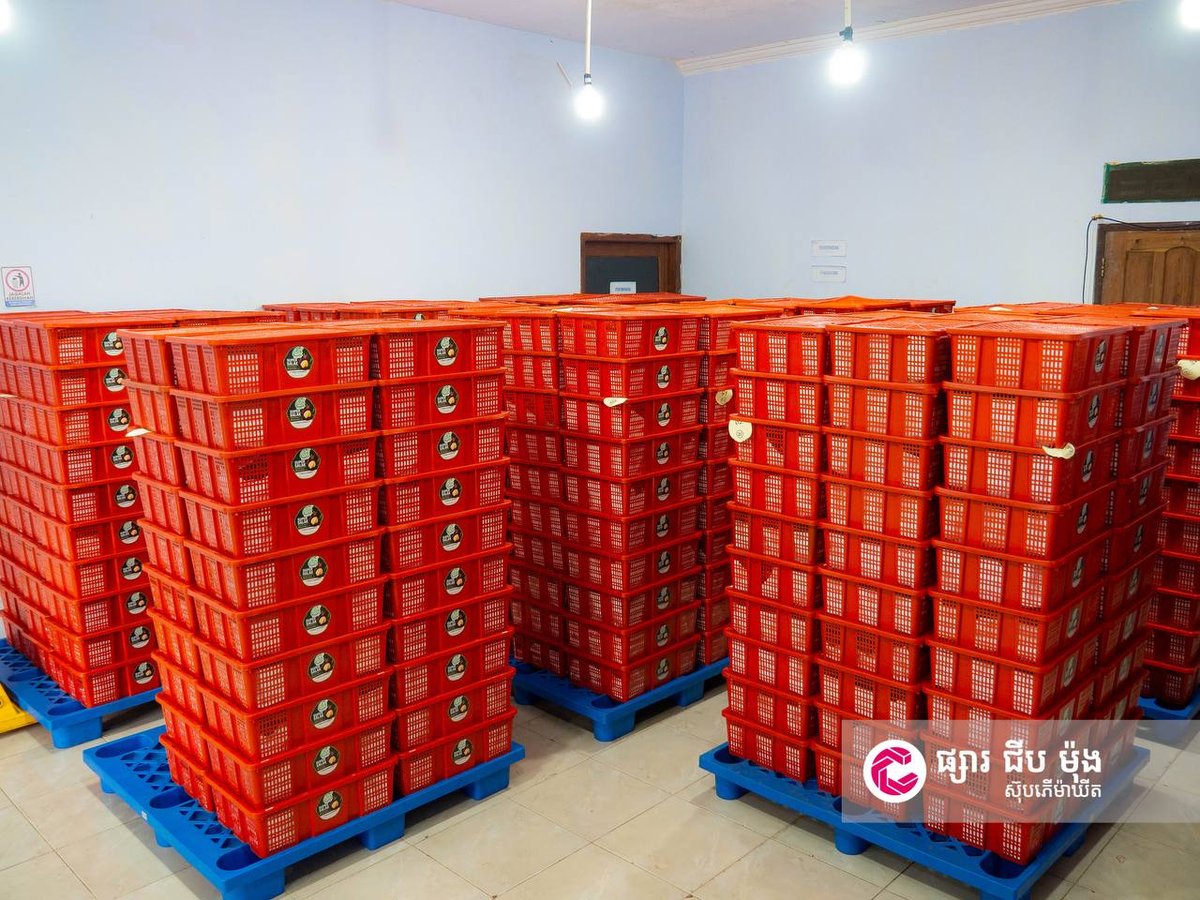 进口蛇皮果明日上架,价格优惠
