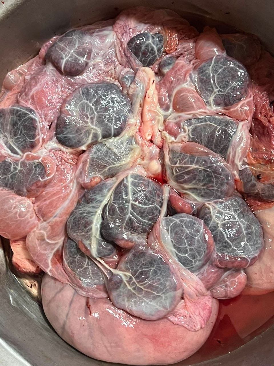 牛肉干每公斤5.5万瑞尔 现货供应