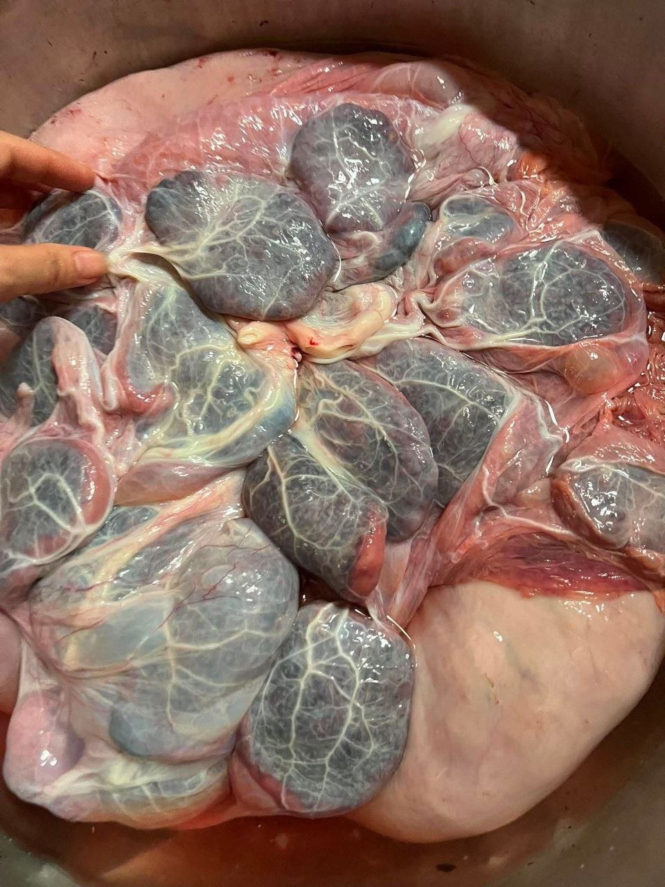 牛肉干每公斤5.5万瑞尔 现货供应