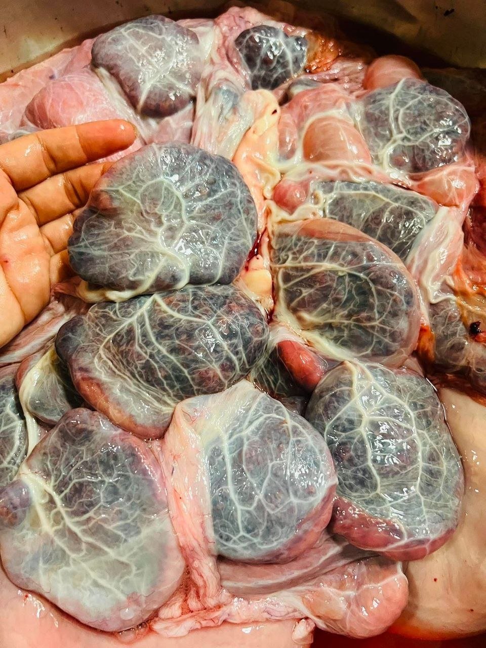 牛肉干每公斤5.5万瑞尔 现货供应