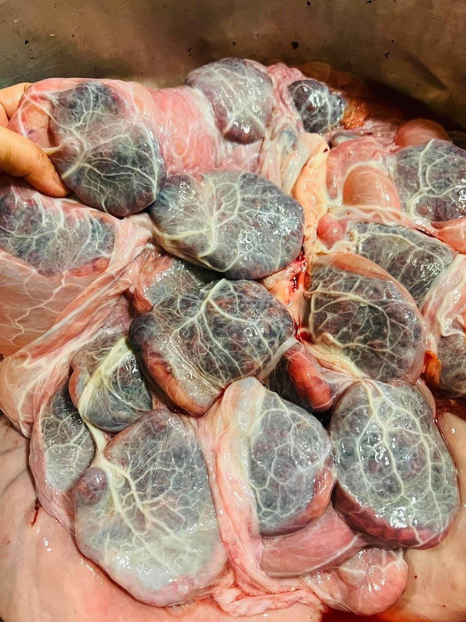 牛肉干每公斤5.5万瑞尔 现货供应