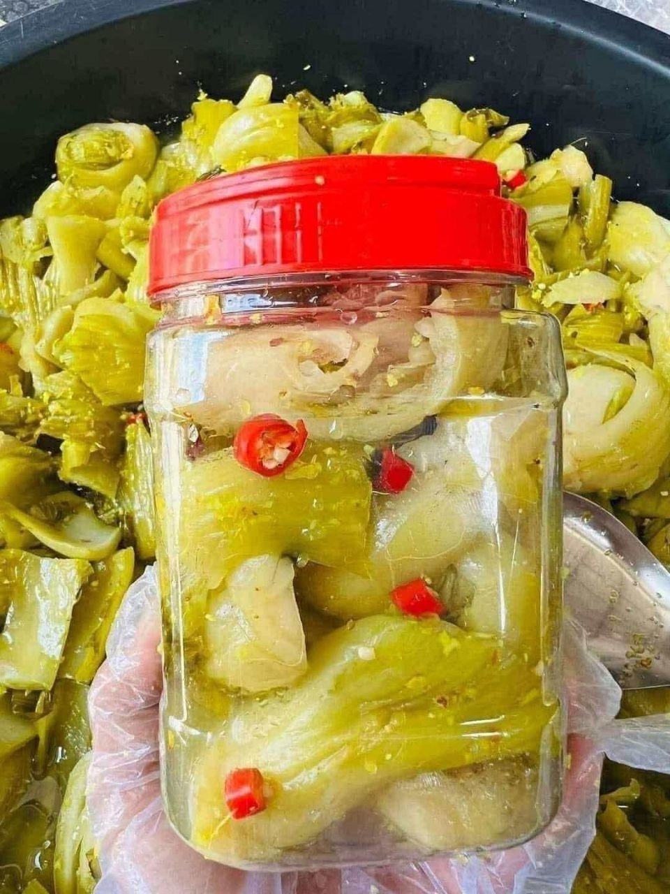 新鲜腌制芹菜 2.5万瑞尔/公斤 口感爽脆 卫生保证