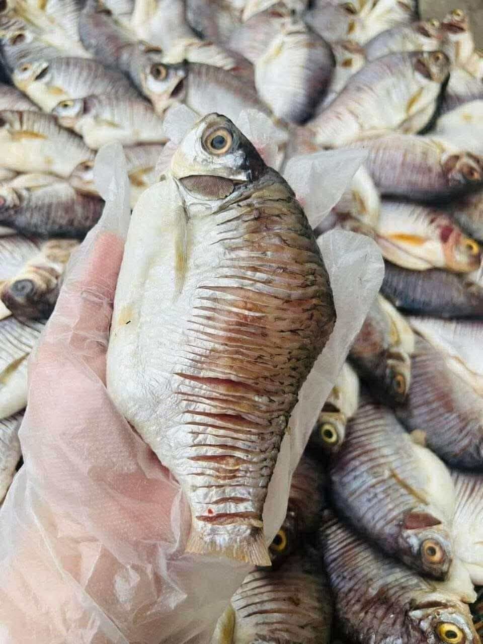 天然河鱼干上市 卫生晾晒无添加 45000瑞尔/公斤