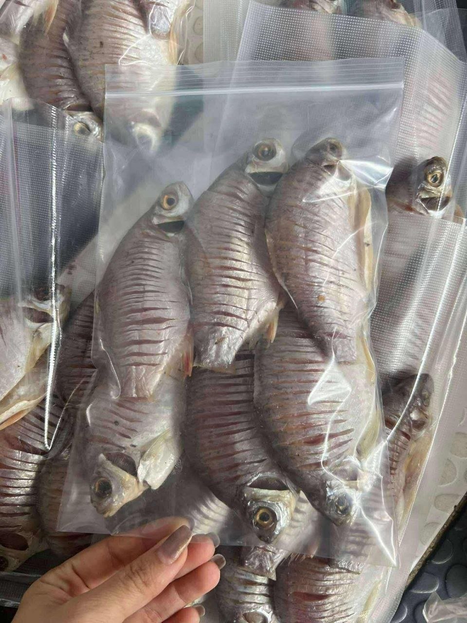 天然河鱼干上市 卫生晾晒无添加 45000瑞尔/公斤