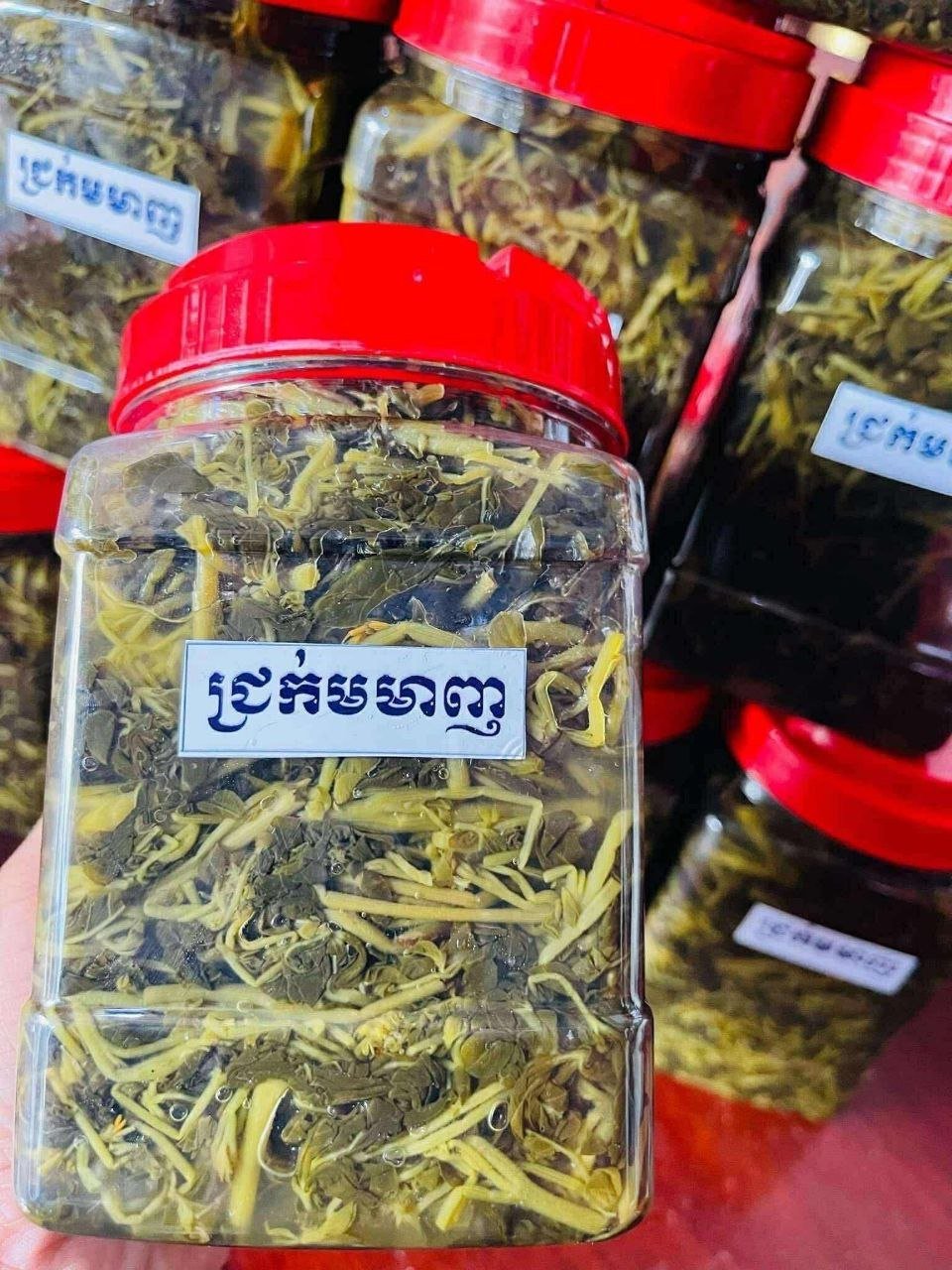 新鲜腌制长豆角上市 售价28000瑞尔每公斤
