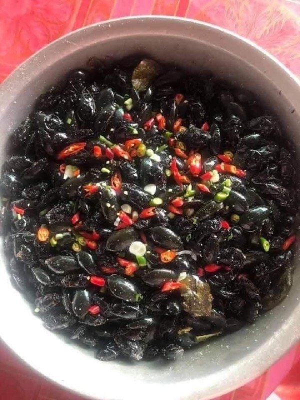 新鲜野生昆虫食材出售 每公斤65000瑞尔 适合油炸爆炒