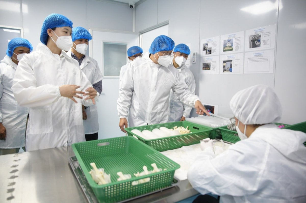 农林渔业部部长视察燕窝加工厂 推动燕窝出口国际市场