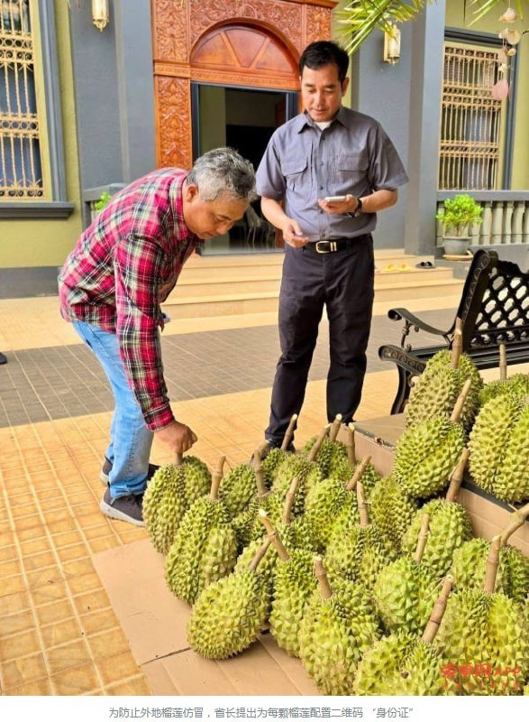 磅湛省长提议榴莲贴码溯源 严打冒牌货提升品牌价值