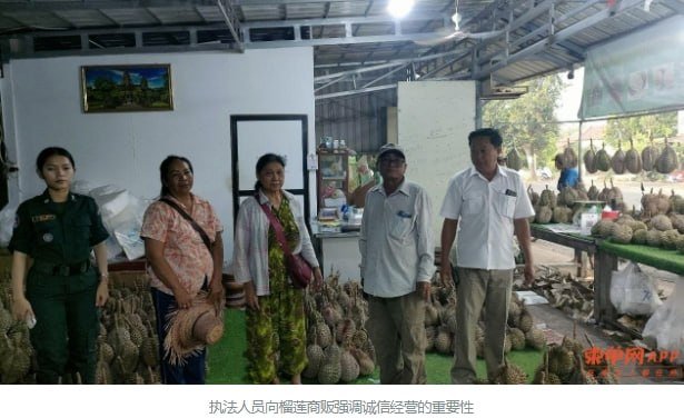 贡布省德初县严打非法榴莲 设立举报热线保障品质