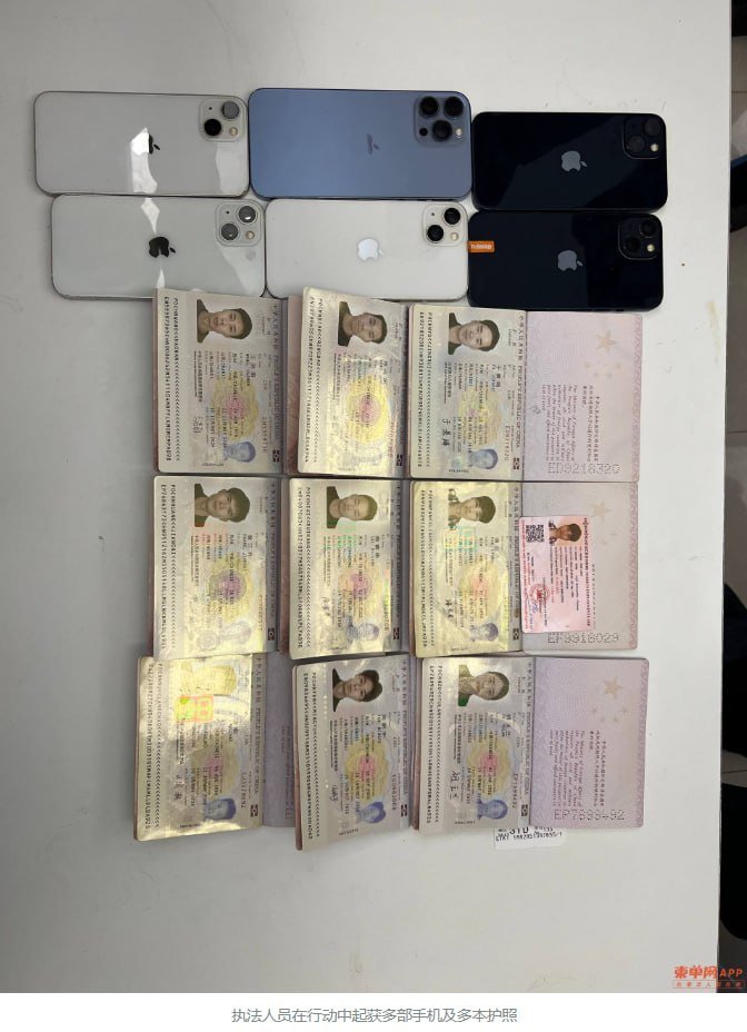 金边多区联合扫诈 31名外籍人员被捕 缴获大量设备