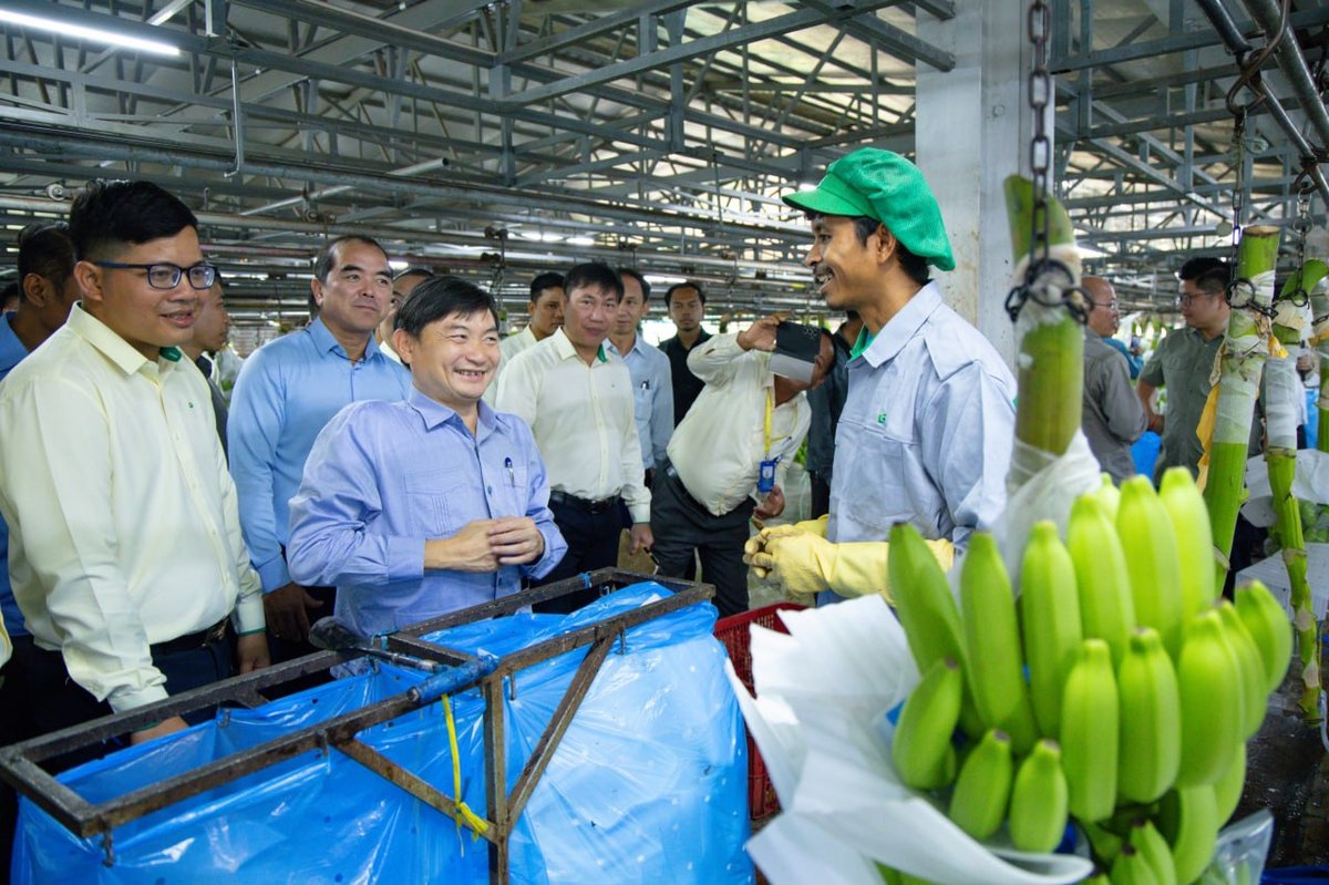 劳工部部长视察桔井省THACO AGRI项目 提供2万个就业
