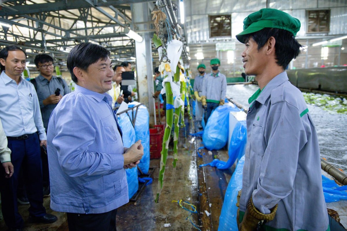 劳工部部长视察桔井省THACO AGRI项目 提供2万个就业