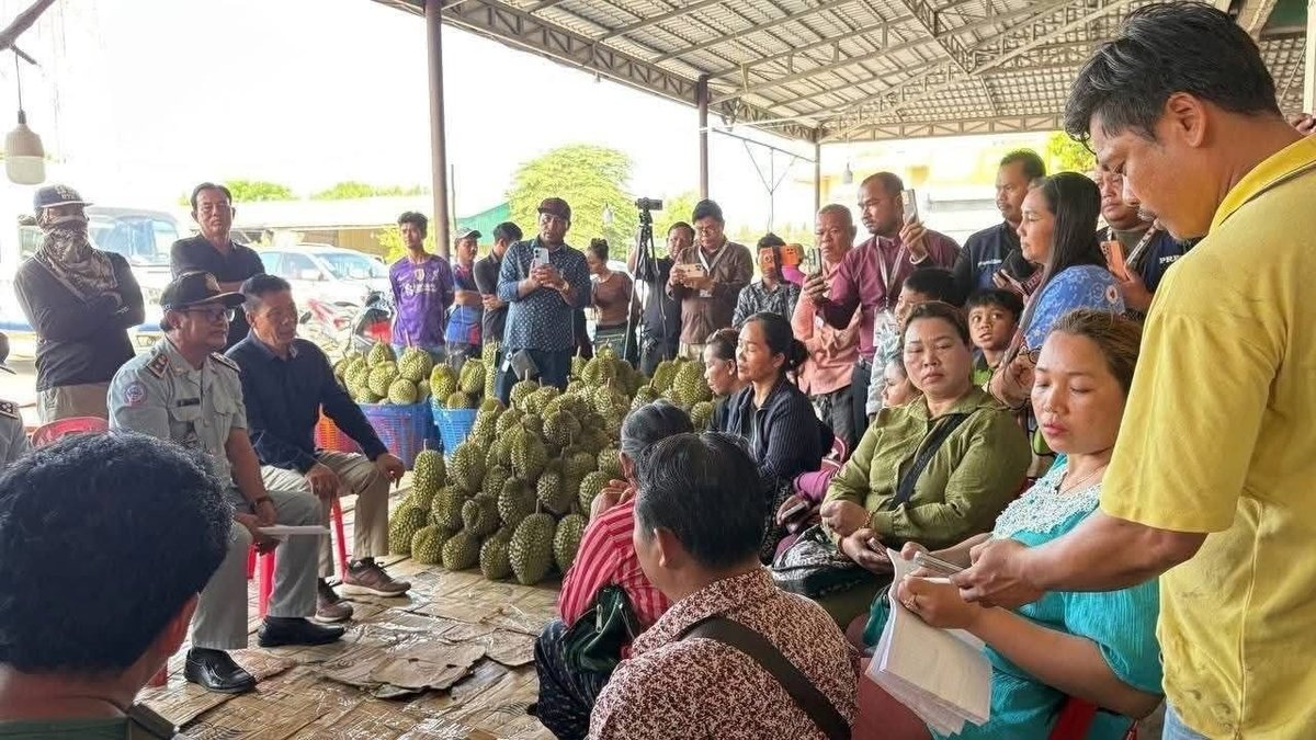 马德望榴莲走私案发酵 涉案商贩承认非法进口泰国榴莲