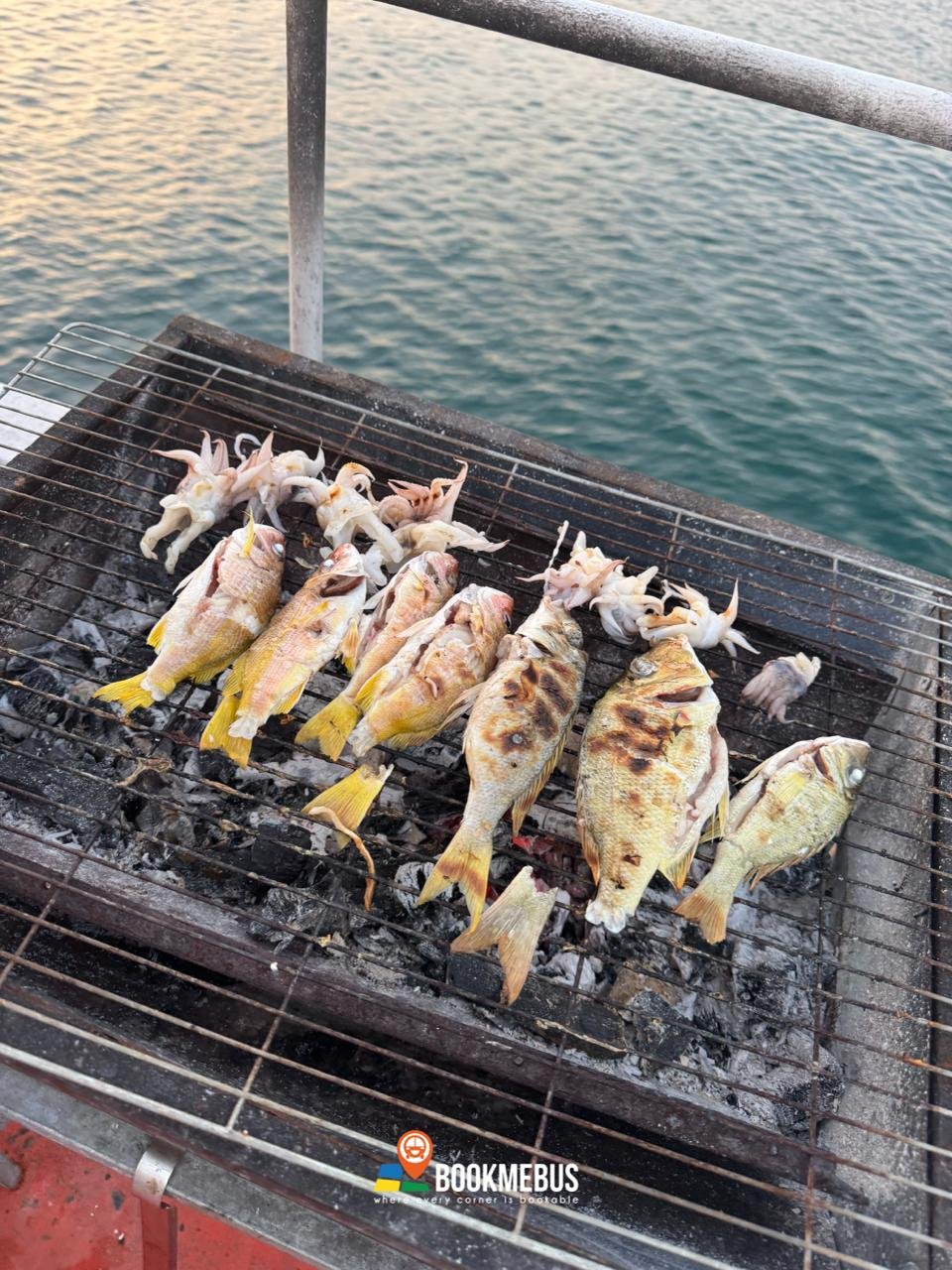 高龙岛船票预订优惠 使用代码立减$3