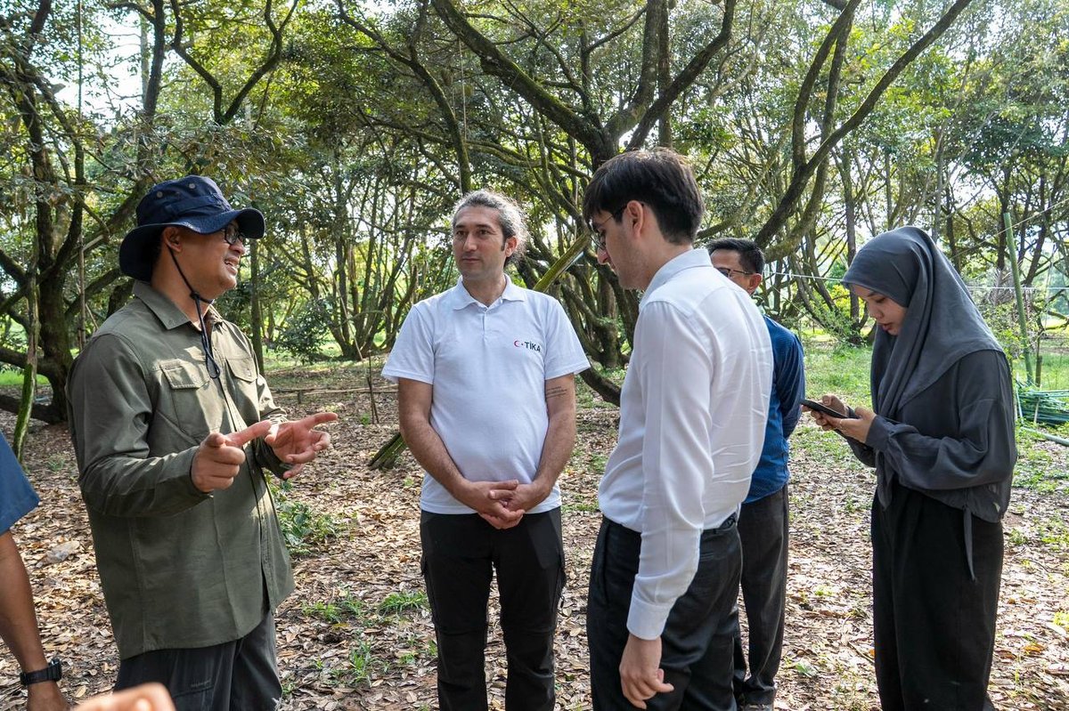 白马省昂高海滩获土耳其援建 1200米混凝土道路开工