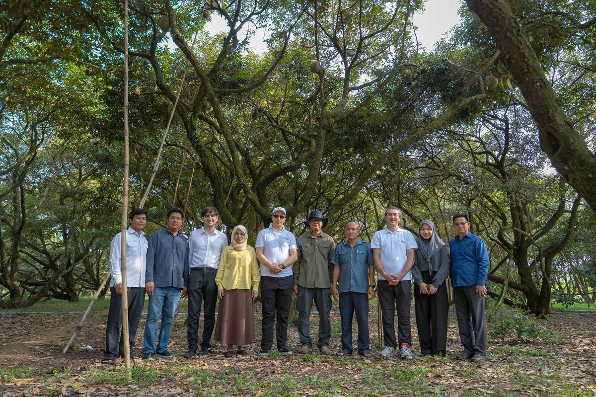 白马省昂高海滩获土耳其援建 1200米混凝土道路开工