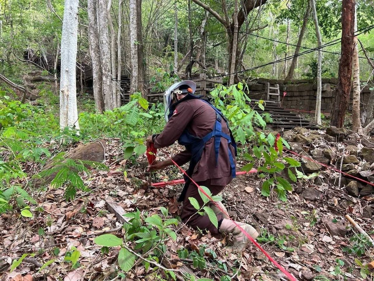 柬埔寨地雷行动中心启动柏威夏寺周边排雷 获联合国教科文组织支持