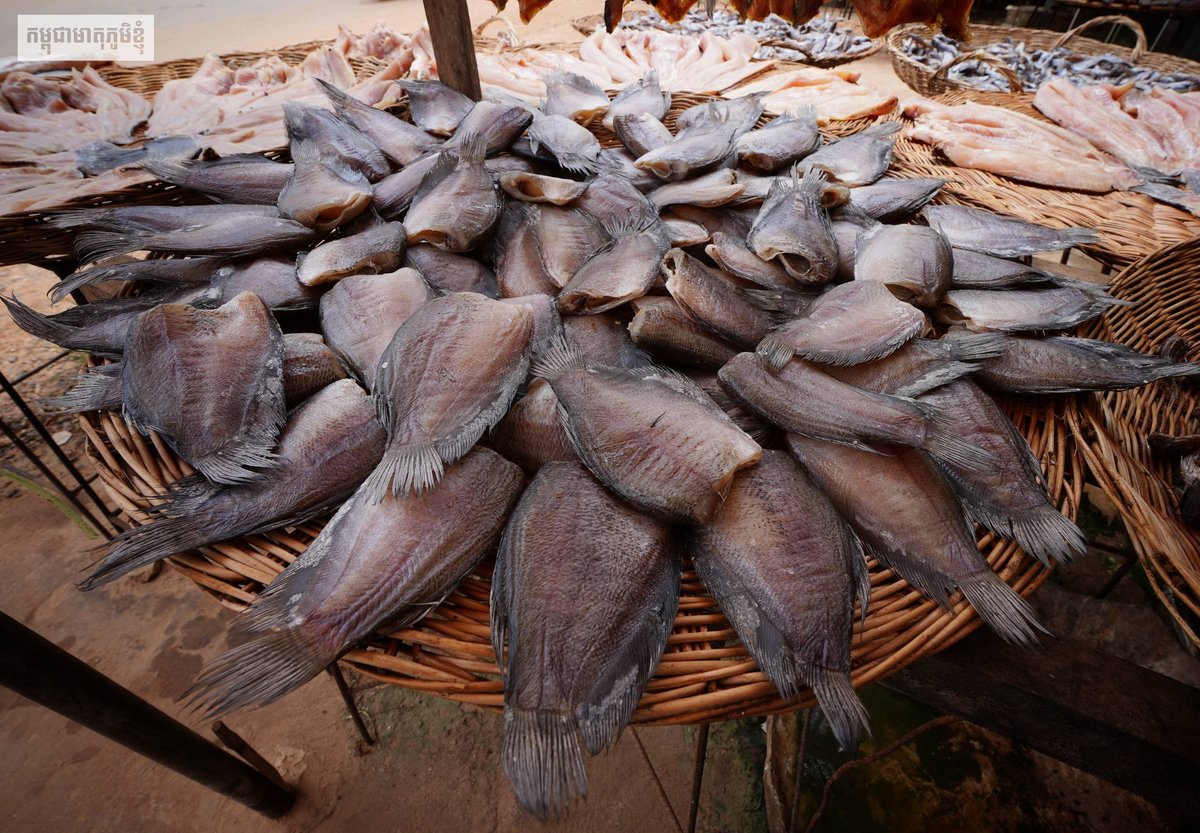 磅通省斯通县特色鱼干肉干产业 地方经济支柱