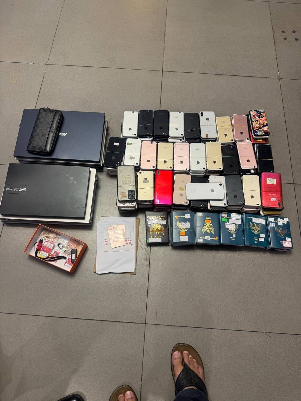 金边突袭非法据点抓获54人 查获281部手机及82本护照