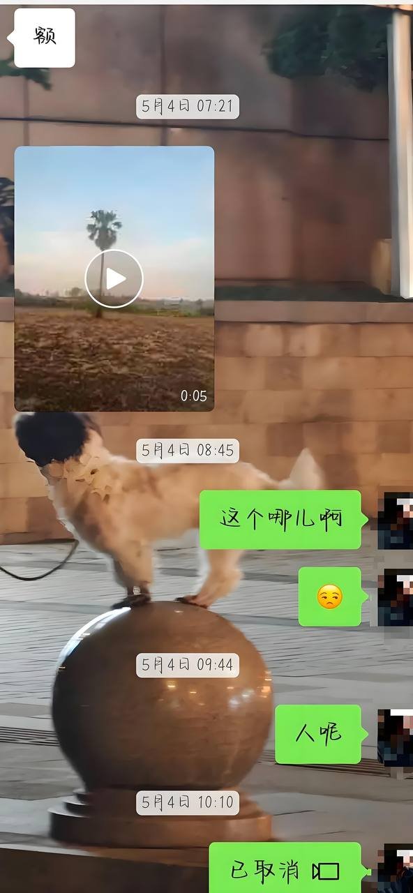 4名在泰失联中国公民获救 曾被诱骗至缅甸园区