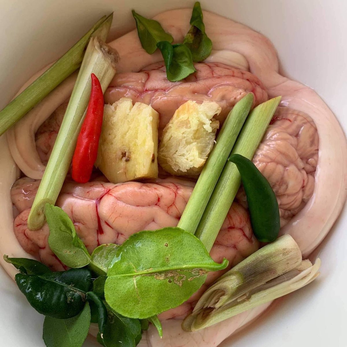 本地新鲜牛脑每公斤$10 适合火锅蒸煮 3个号码可订