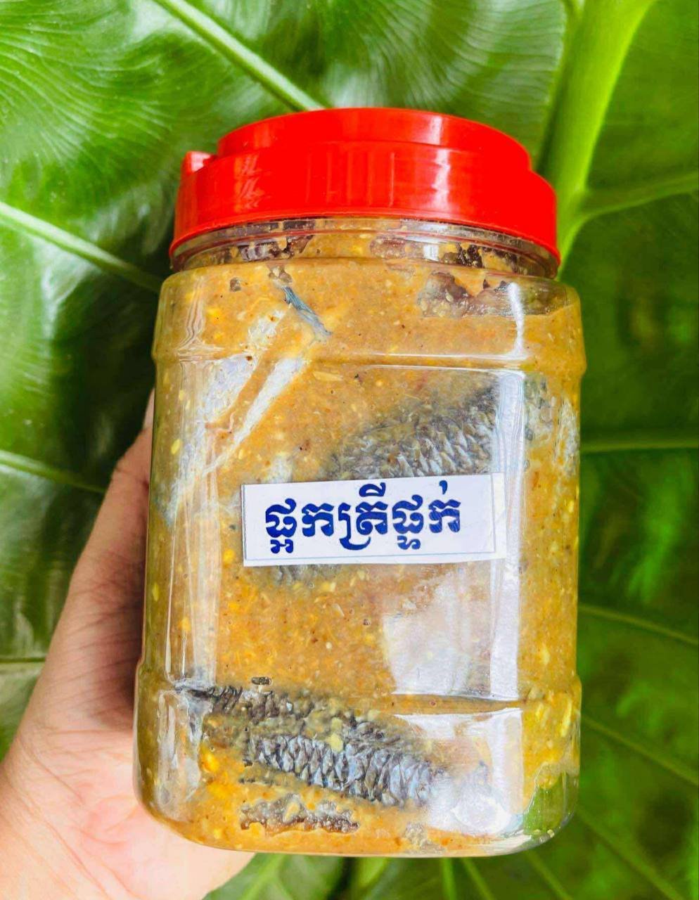 柬埔寨特色腌制鱼类出售 每公斤35000瑞尔 可煎可蒸