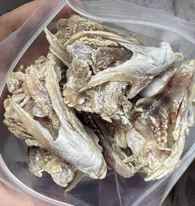 金边新鲜鱼肉处理售卖 每公斤4.5万瑞尔