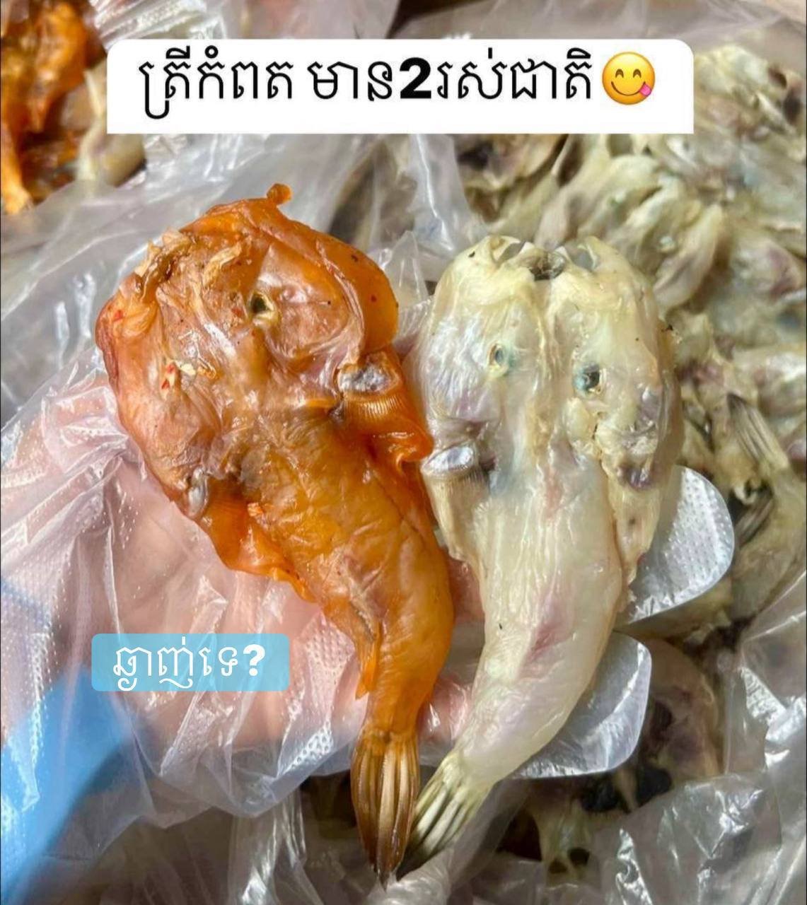 贡布鱼新鲜到货 1kg售价8.8万瑞尔 可选烤或炸