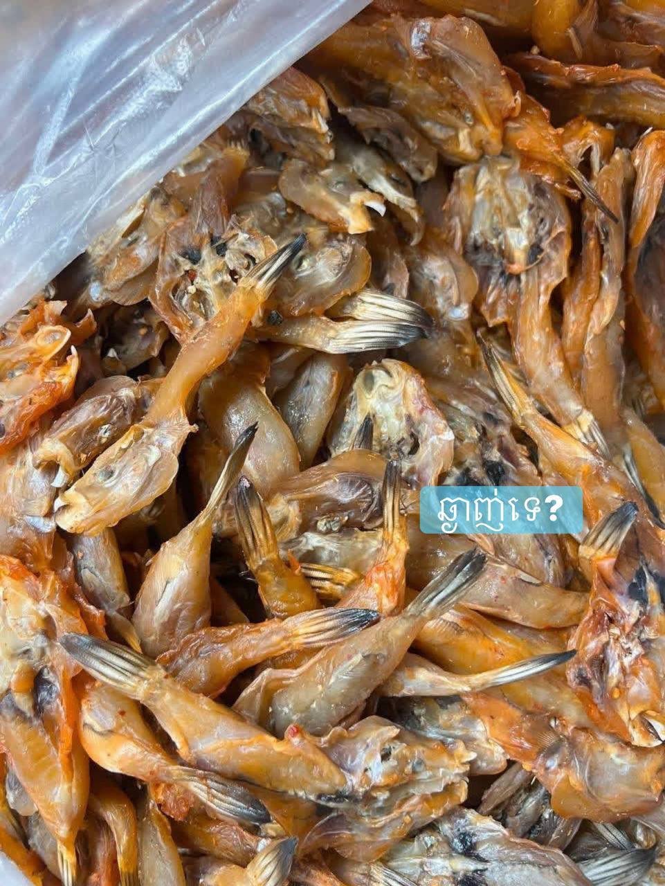 贡布鱼新鲜到货 1kg售价8.8万瑞尔 可选烤或炸