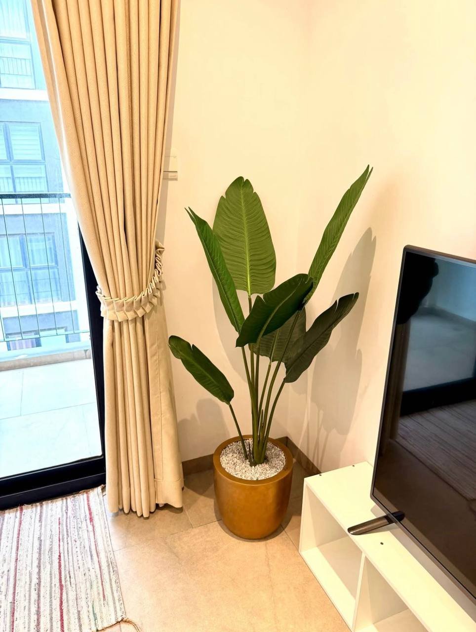 Urban Village一房一厅招租 月租$430含物业费