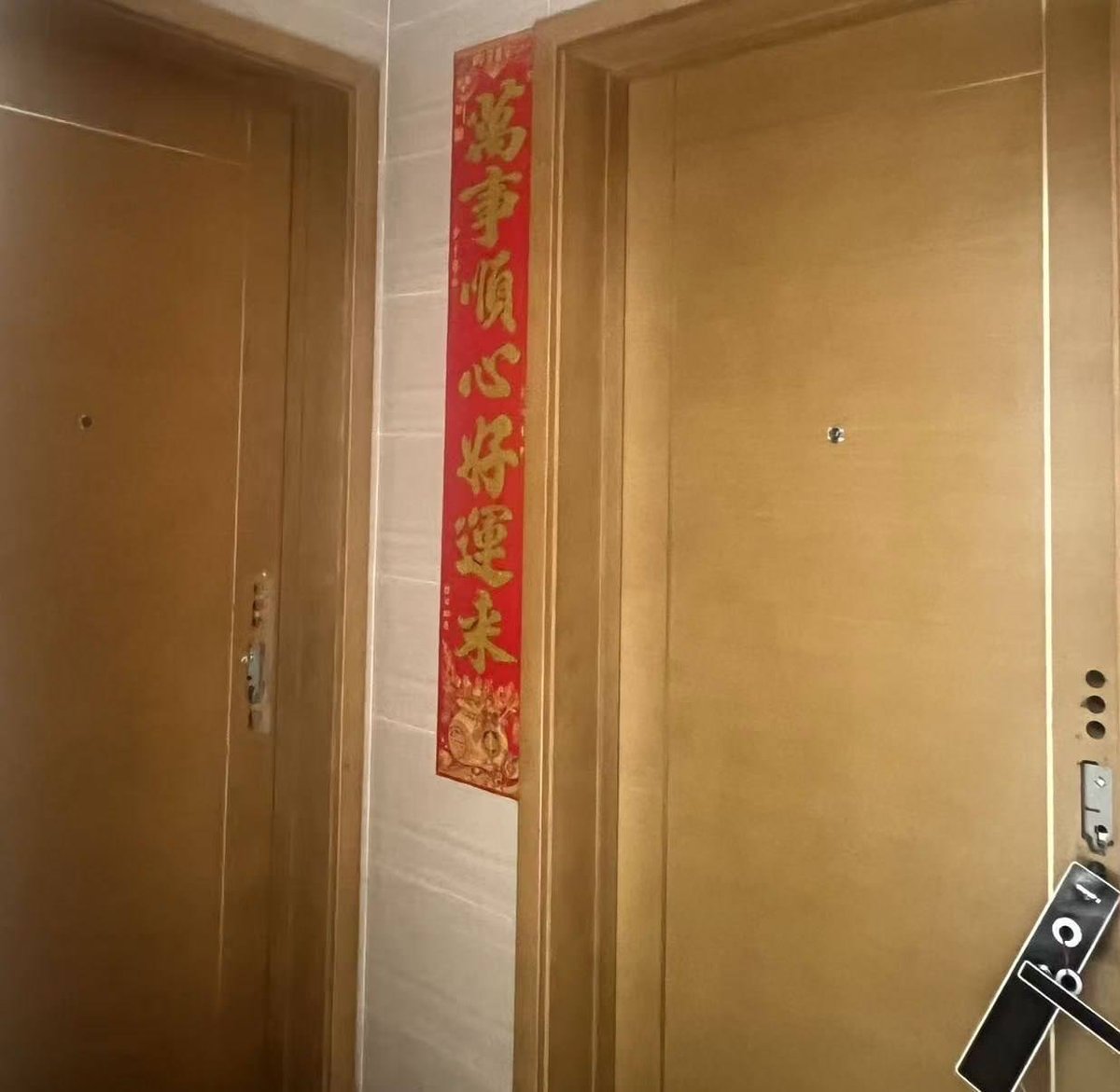 金边富力小区业主投诉政府执法暴力拆锁引发争议