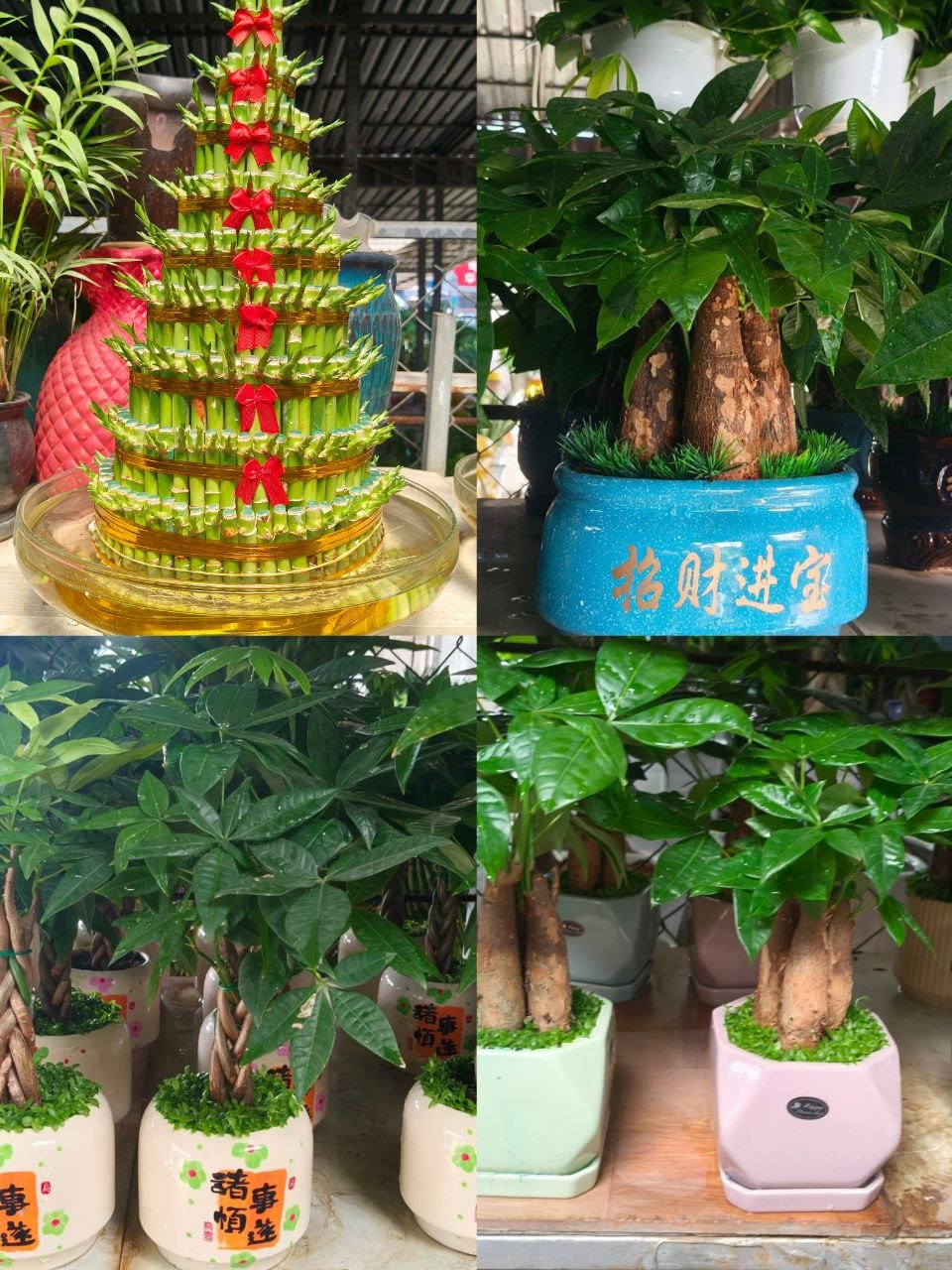 优优生活用品提供包括生活百货、穿戴设备、健身器材、防身用品及情趣用品等多种类商品