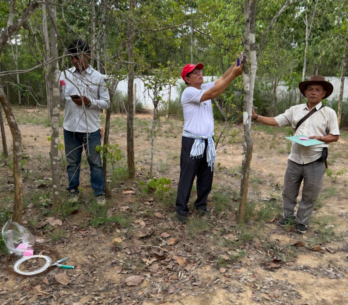 卫生部实地考察基里隆药用植物园 规范药材标识