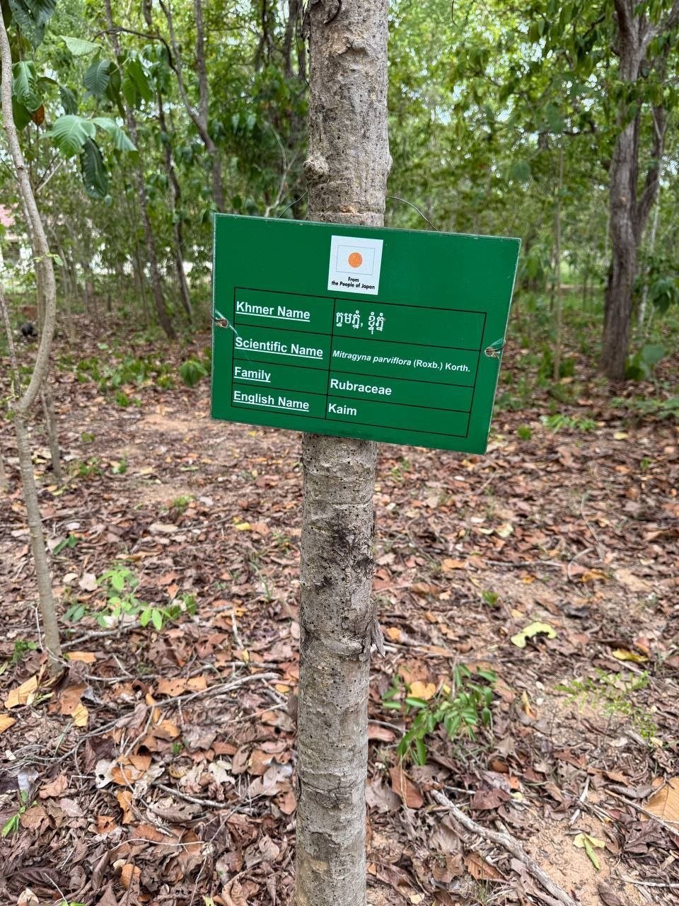 卫生部实地考察基里隆药用植物园 规范药材标识