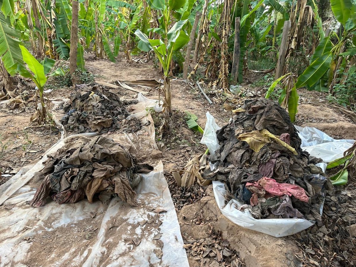干拉省高库岛发现红色高棉时期遗骸 约800块碎片