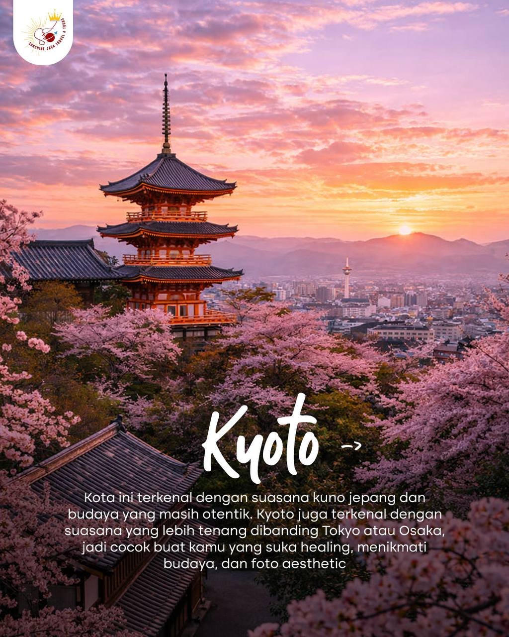 Sunshine Java Travel & Tours提供