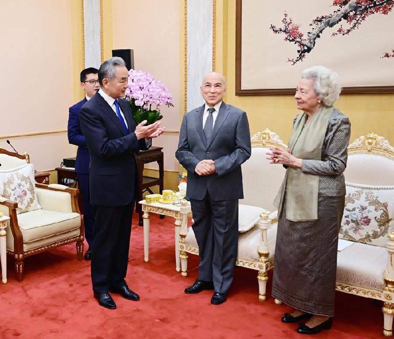 西哈莫尼国王会见王毅 强调中柬传统友谊与战略互信