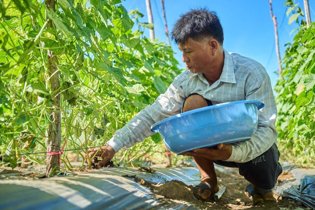 班迭棉吉省荣占村村民开展农业生产 种植蔬菜养殖家禽